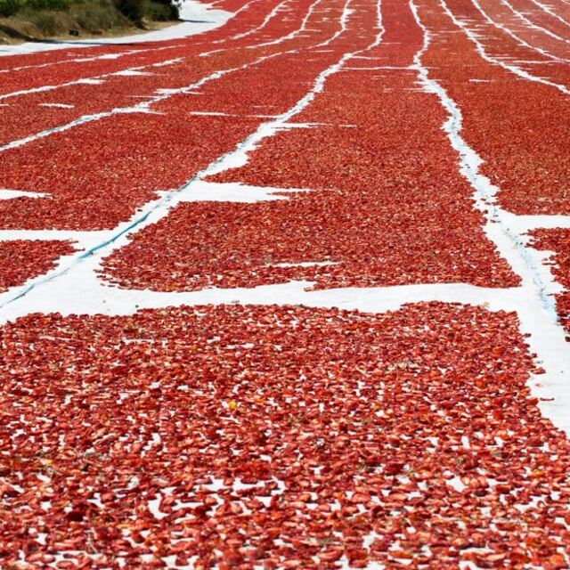 Kuru domates ihracatı 100 milyon doları aştı