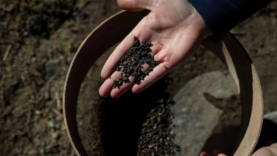 5 bin yılda karbonlaşmış! Van'da bulundu