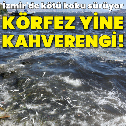 İzmir Körfezi kahverengiye döndü