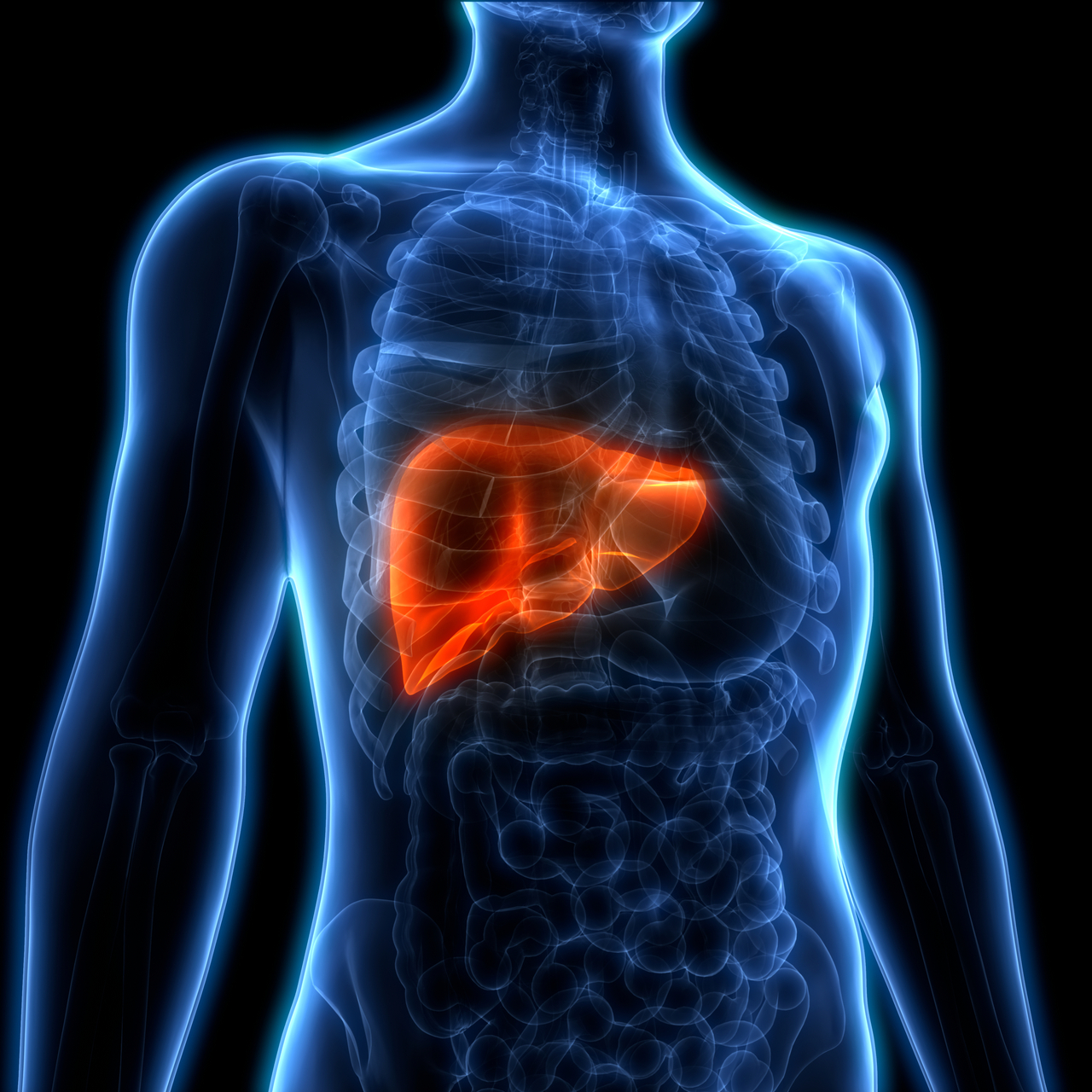 Kalın bağırsak kanseri metastazında yeni umut