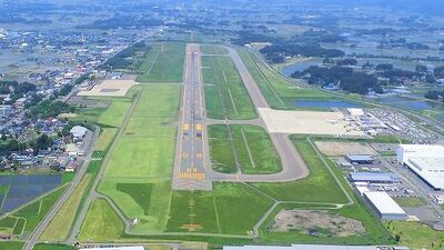 Japonya'da havalimanına ayı girdi, uçuşlar durdu