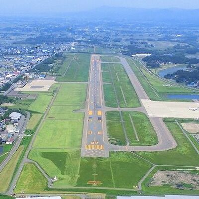 Japonya'da havalimanına ayı girdi, uçuşlar durdu