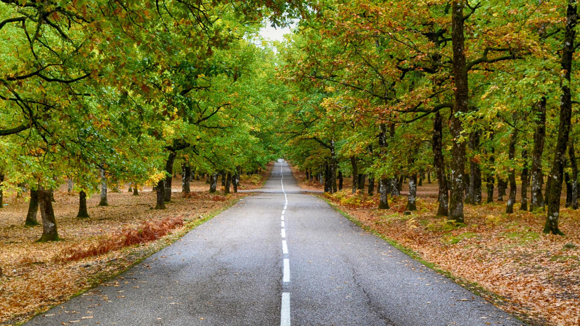 Bursa - Maraş Arası Mesafe ve Yolculuk Rehberi: 1050 km'lik Rota