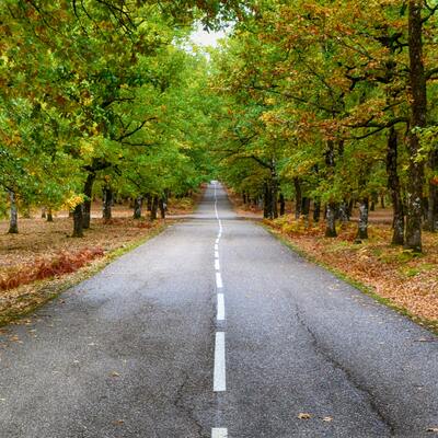 Bursa - Maraş kaç kilometre?