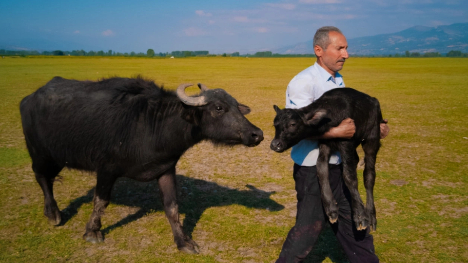 Tokatlı Mehmet Emin Coruş dünya ikincisi