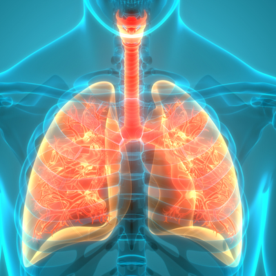 İklim değişikliği ölümcül sıcak dalgalarının etkilerini ağırlaştırıyor