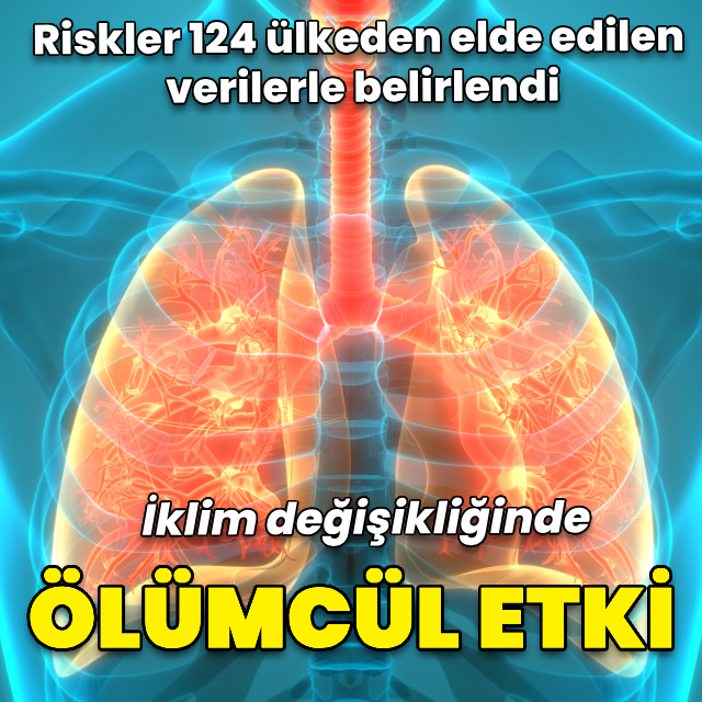 İklim değişikliği ölümcül sıcak dalgalarının etkilerini ağırlaştırıyor