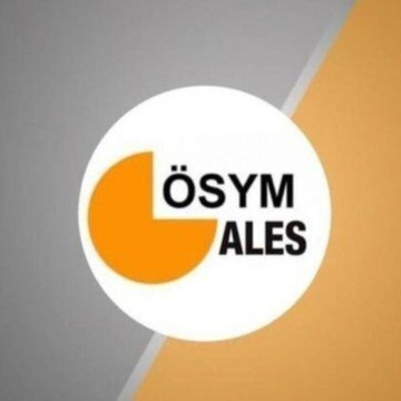 ALES/3 giriş belgesi yayımlandı