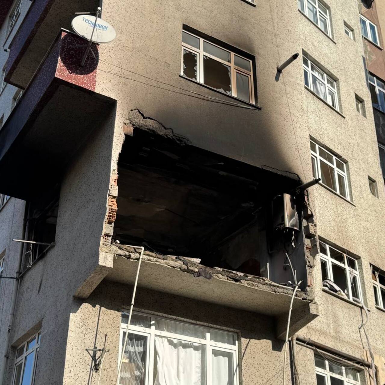 Dehşetin izleri gün ağacınca ortaya çıktı! | Detaylı Analiz