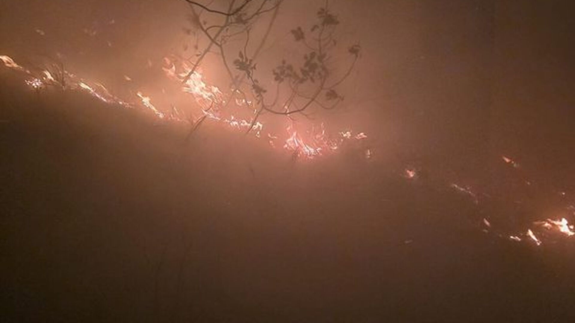 Hatay'da ormanlık alanda yangın çıktı