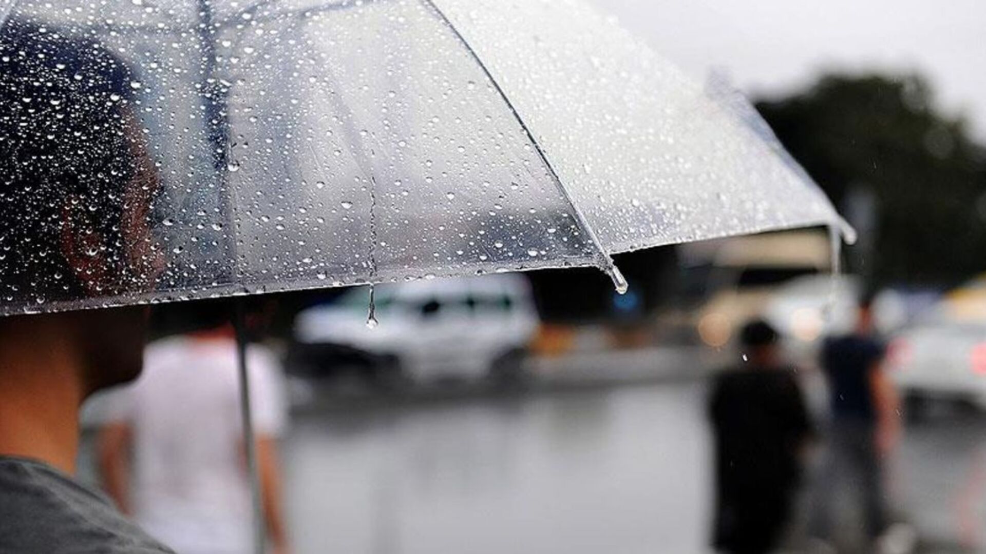 14 Kasım Hava Durumu: 6 İl İçin Sarı Kodlu Uyarı!