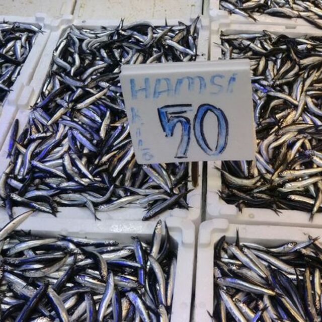 Kilosu 50 TL'ye düştü!