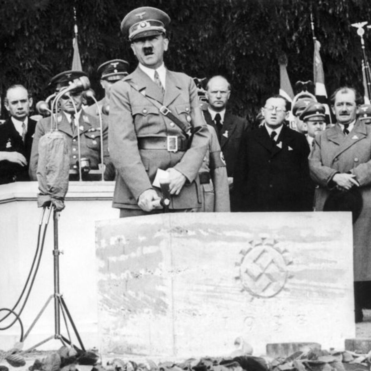 Hitler'in DNA analizi
