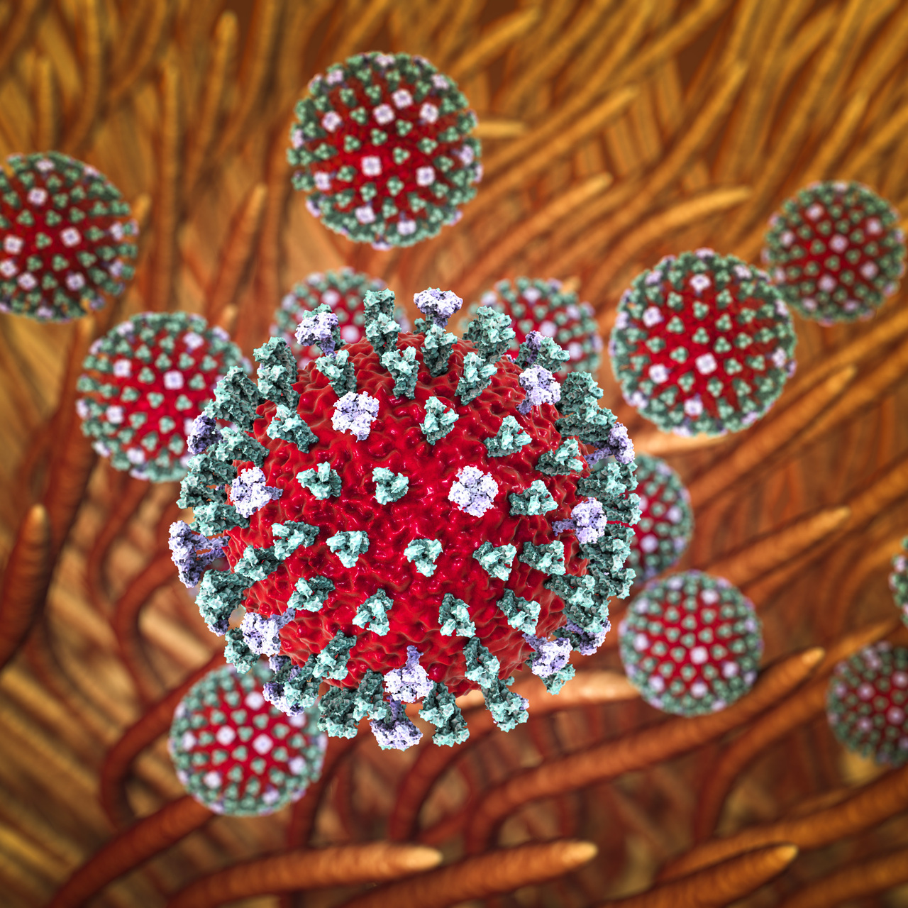 Kuzey Yarımküre'de 'H3N2' alarmı