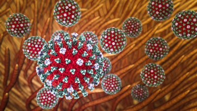 Kuzey Yarımküre'de 'H3N2' alarmı