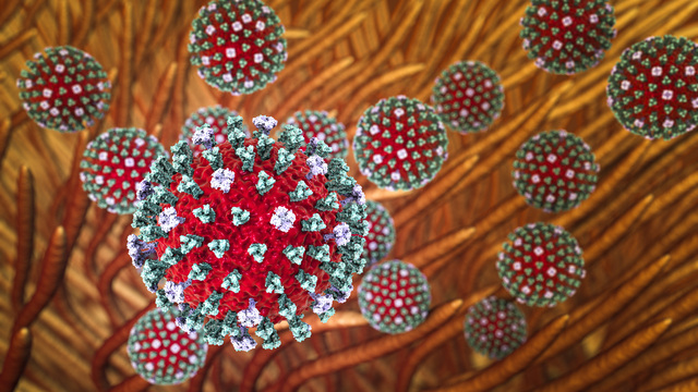 Kuzey Yarımküre'de 'H3N2' alarmı