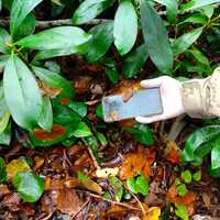 Anne ve oğlunun sır dolu ölümünde kayıp cep telefonu bulundu!