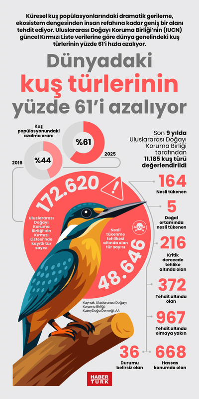 Dünyadaki kuş türlerinin yüzde 61’i azalıyor