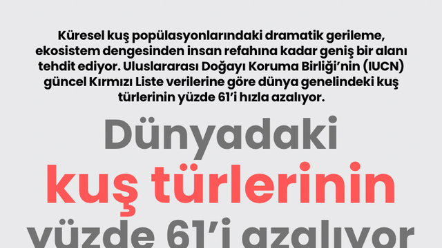 Dünyadaki kuş türlerinin yüzde 61'i azalıyor