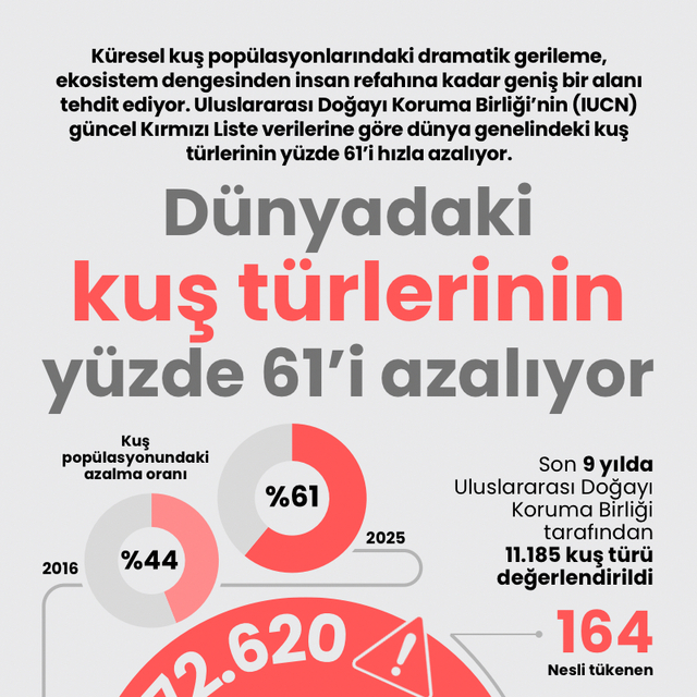 Dünyadaki kuş türlerinin yüzde 61'i azalıyor