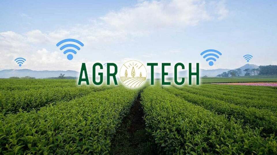 Agrotech'ten yapay zeka yatırımı