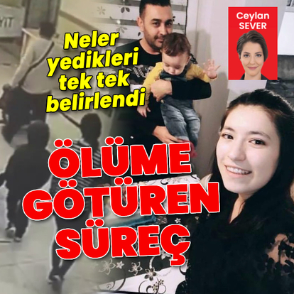 Almanya'dan gelen aileyi ölüme götüren süreç