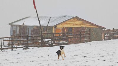 Ordu'nun yüksekleri beyaza büründü