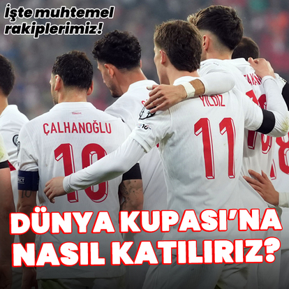A Milli Takım, Dünya Kupası'na nasıl katılır?