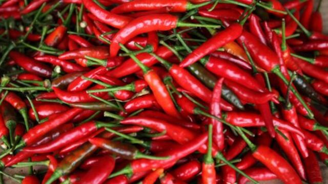 Acı biber yemenin hayattan tat almakla ne alakası var?