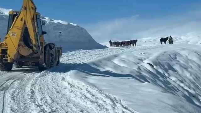 Kar yağışları ulaşımı kapadı