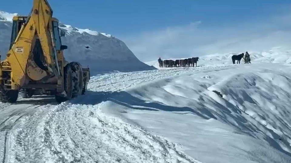 Kar yağışları ulaşımı kapadı