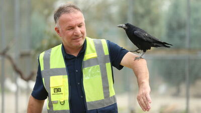 Tabiat parkında iyileşti, insanlardan ayrılamıyor
