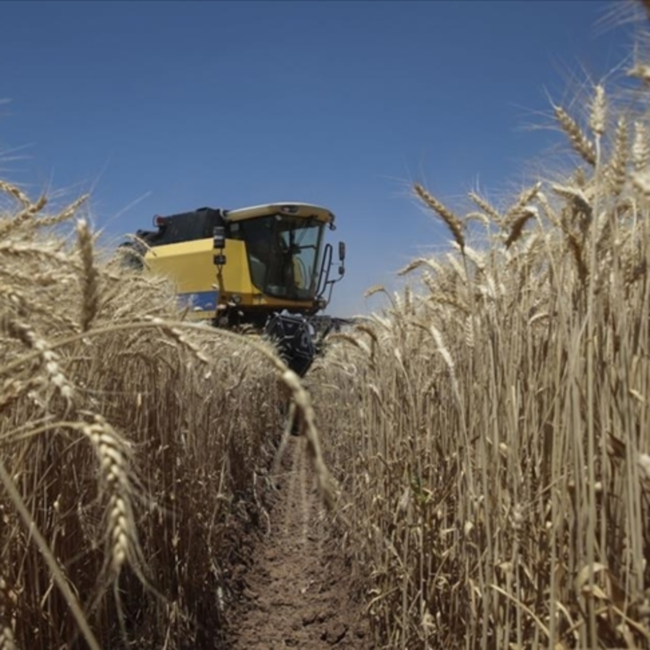 Tarım ÜFE ekimde yüzde 4 yükseldi