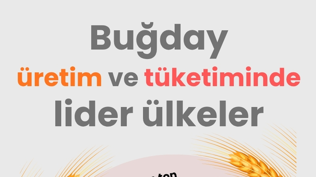 Buğday üretim ve tüketiminde lider ülkeler