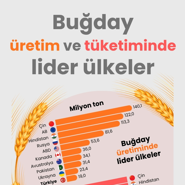 Buğday üretim ve tüketiminde lider ülkeler