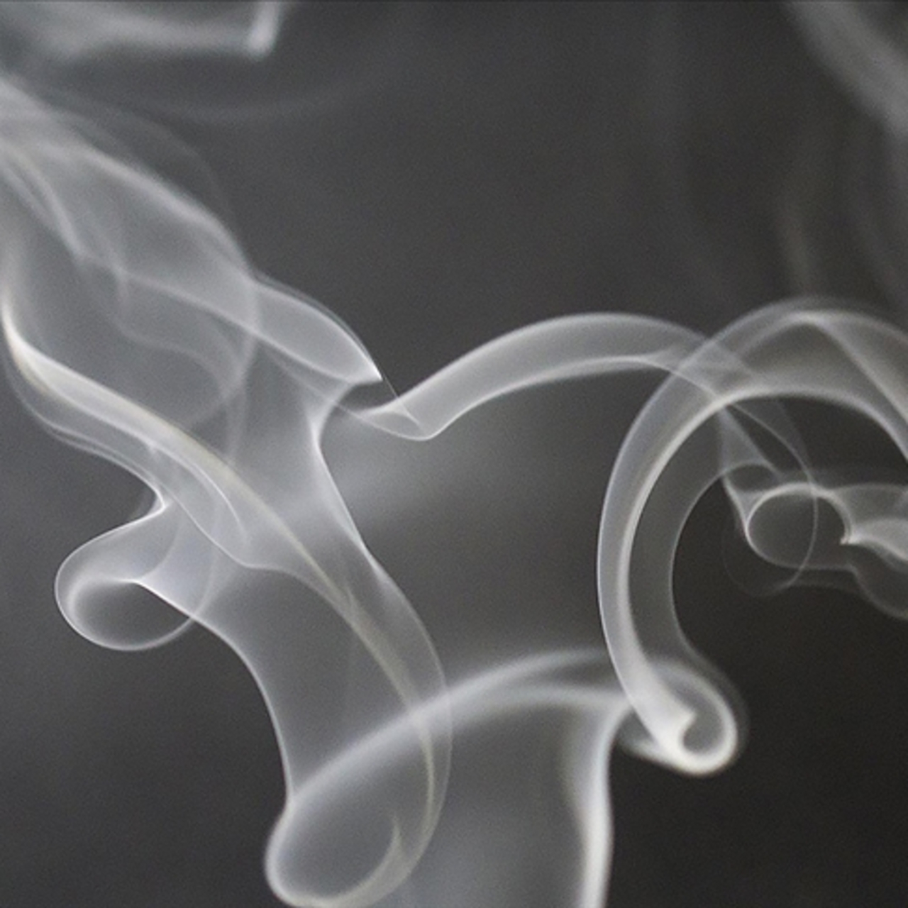 DSÖ: Her yıl 7 milyon kişiyi öldürüyor