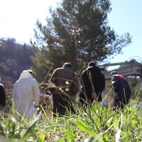 Bölge su altında kalacağı için mezarlıkları taşıyorlar