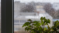 Yağmur sesi nasıl sakinleştiriyor?