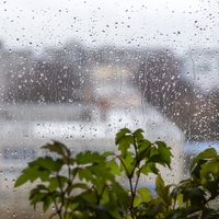 Yağmur sesi nasıl sakinleştiriyor?