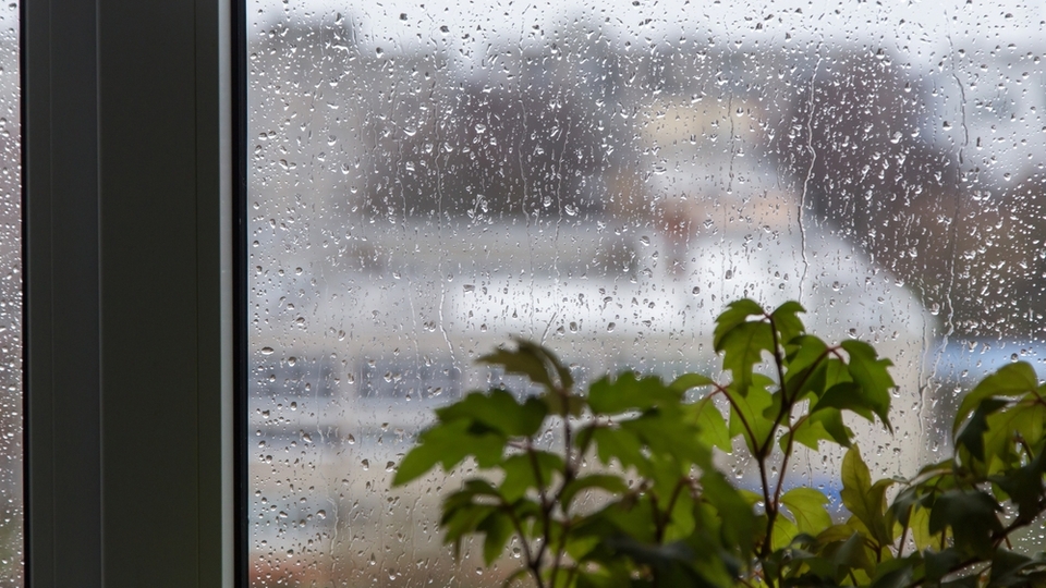 Yağmur sesi nasıl sakinleştiriyor?