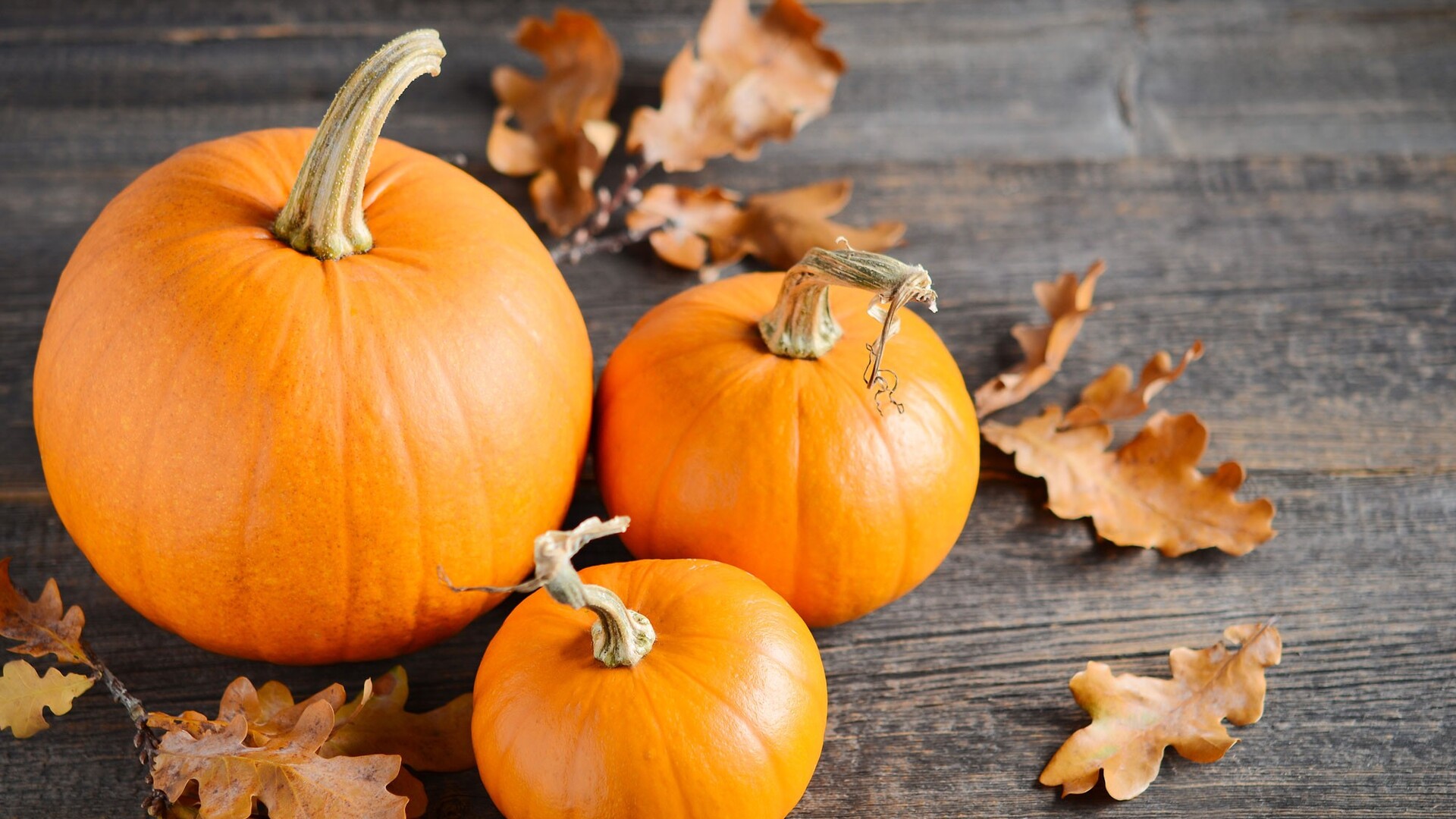 Kış sofralarına balkabağıyla renk katın! Faydaları saymakla bitmeyen balkabağıyla yapabileceğiniz 7 yemek tarifi