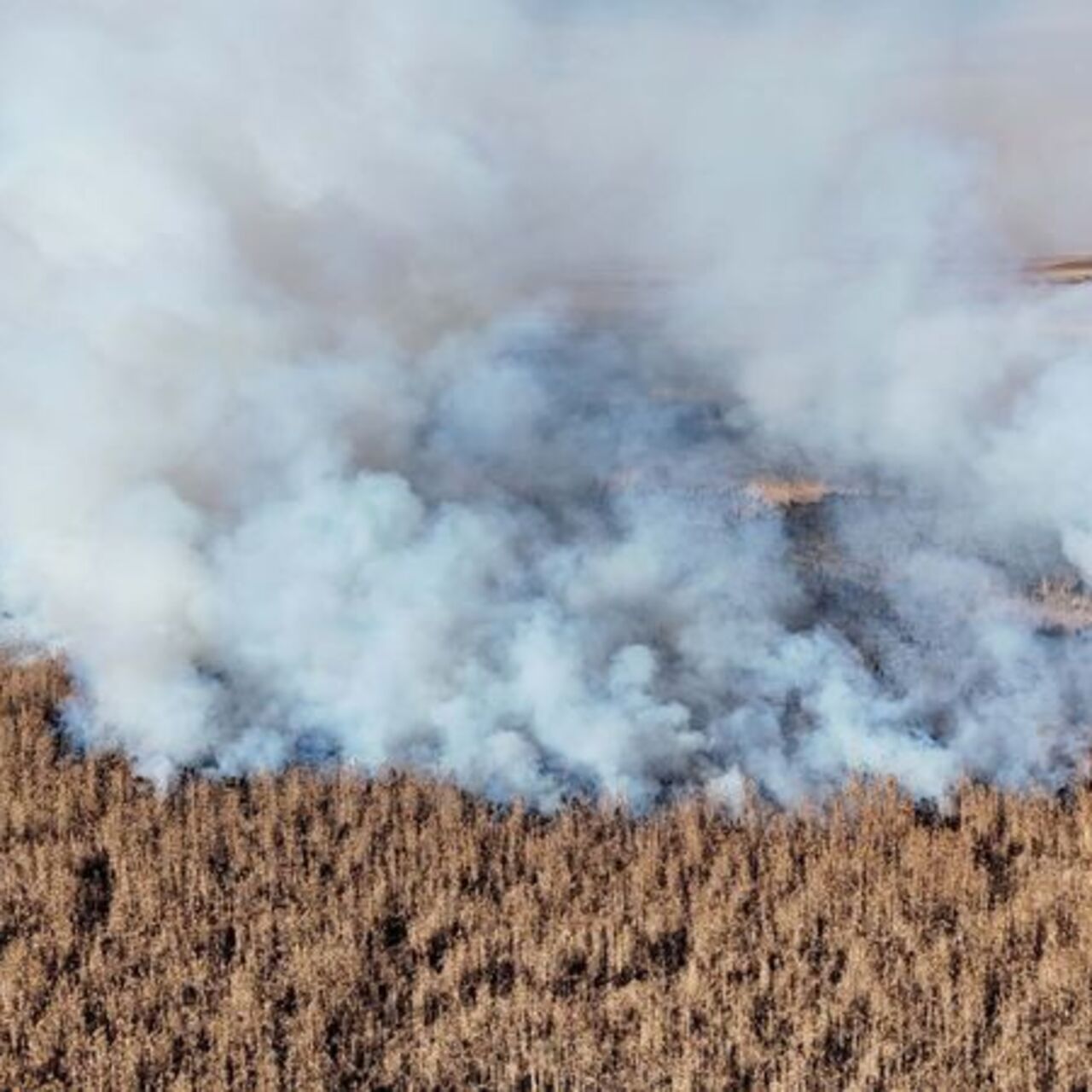 Gök Gölü'ndeki yangın 2. gününde