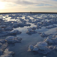 Tuz Gölü'nde ilgi çeken oluşum