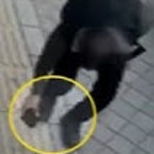 Önce çaldı sonra teslim etti!