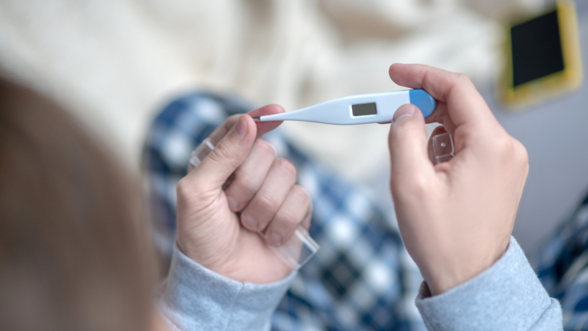 Beden ısısı neden 37 derece? Vücudumuz mantarları yok etmek ve enerjiyi korumak için nasıl optimize oldu?