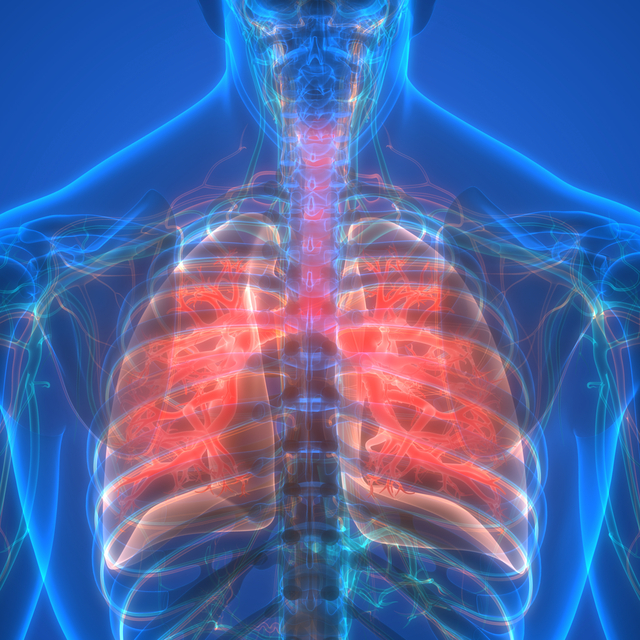 Sigaradan ve pasif içicilikten uzak durmak KOAH'tan koruyor