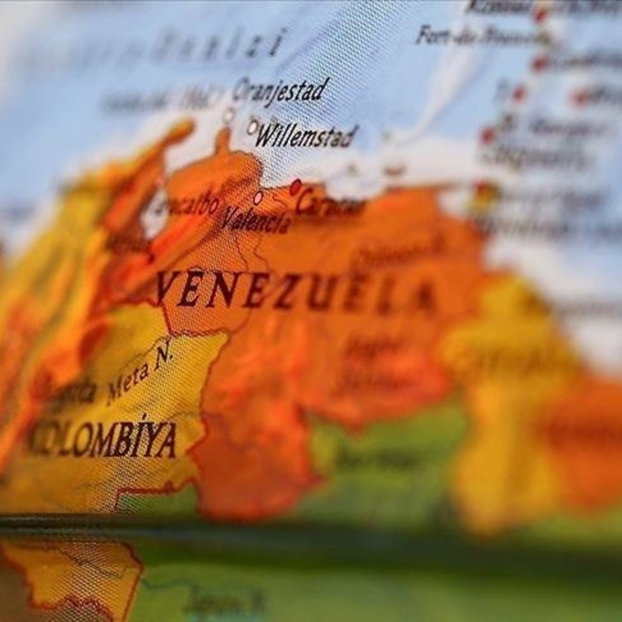 "ABD, ülkemizi 51. eyalet yapmak istiyor"