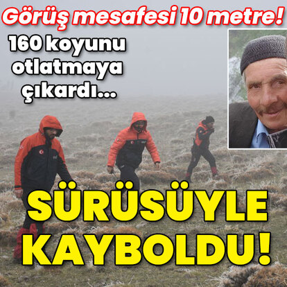 160 koyunu otlatmaya çıkardı... Çoban sürüsüyle kayboldu!
