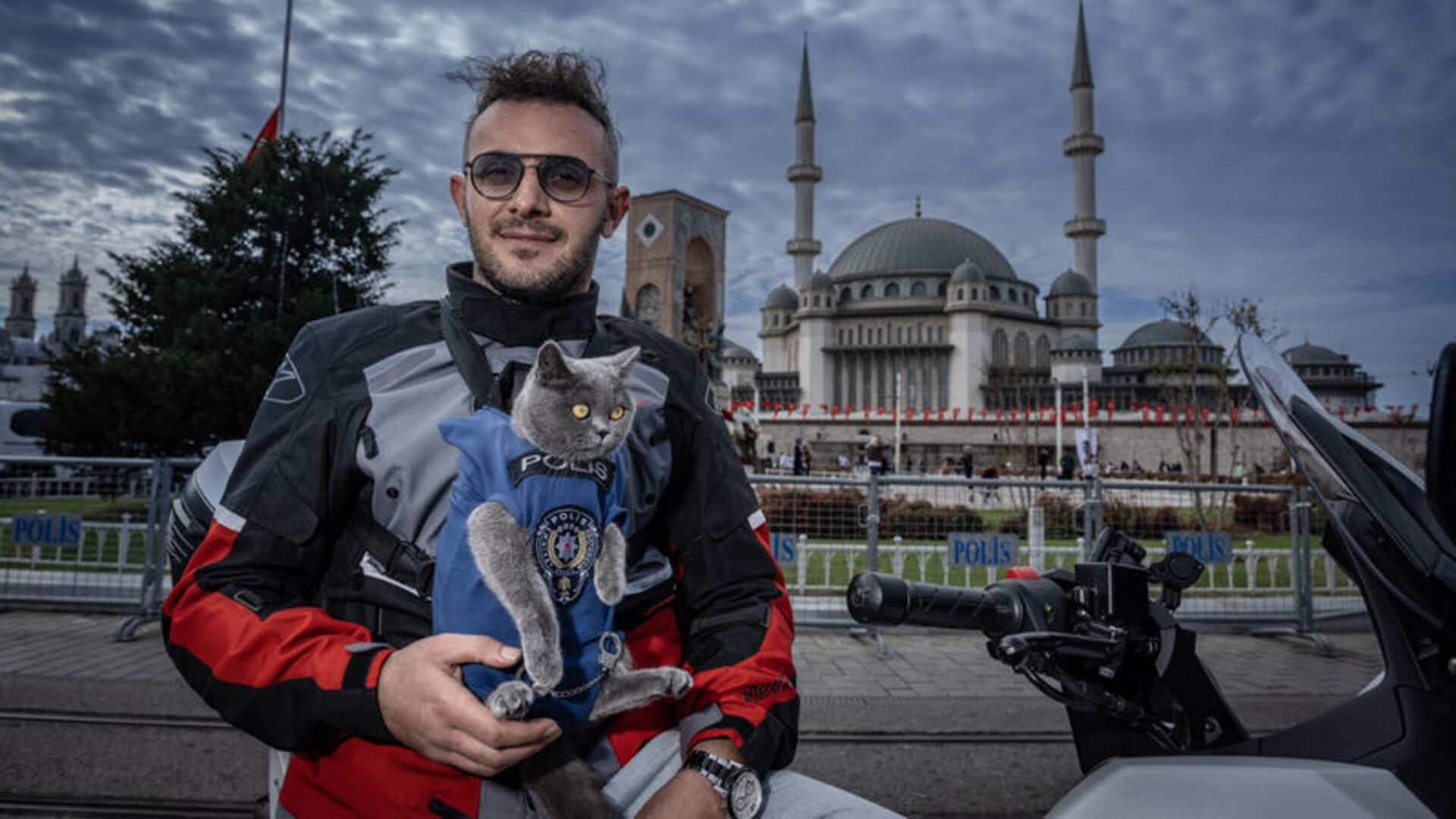 Motosikletli kedi 'Gofret' İstanbul sokaklarında ilgi odağı oldu