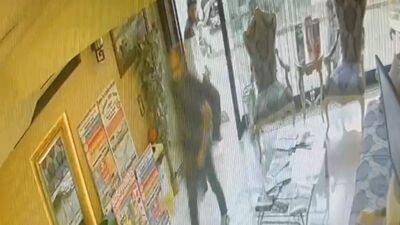 Adım adım dehşet! Böcek ailesinin ölümünde yeni görüntü!